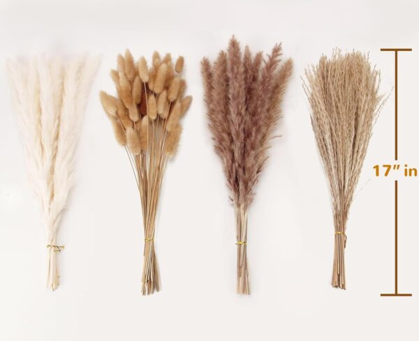 100 Stems Dried Pampas Grass Bouquet – Boho Wedding & Home Decor - Image 2