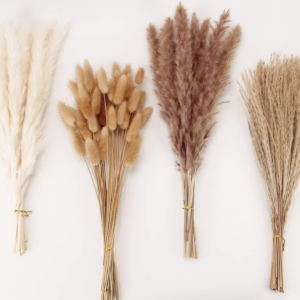 100 Stems Dried Pampas Grass Bouquet – Boho Wedding & Home Decor