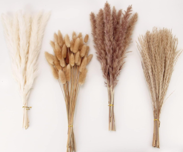 100 Stems Dried Pampas Grass Bouquet – Boho Wedding & Home Decor